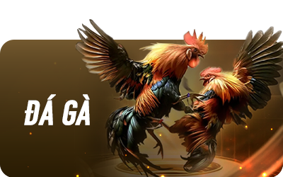 banner da ga vinbet